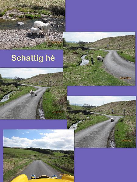 Dag 5, Fort William-Stirling (134).jpg